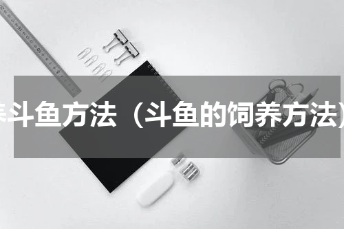 养斗鱼方法（斗鱼的饲养方法）