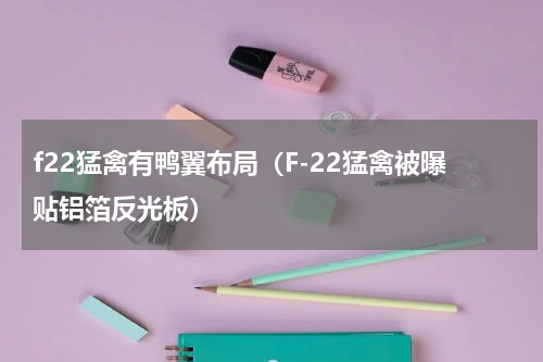 f22猛禽有鸭翼布局（F-22猛禽被曝贴铝箔反光板）