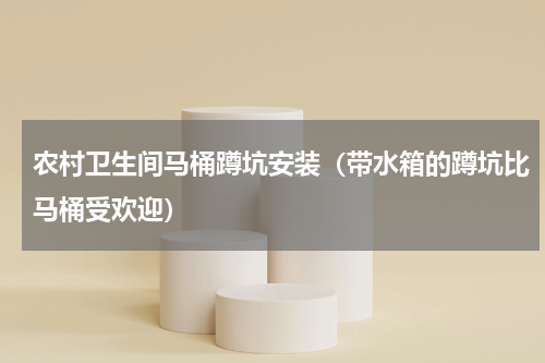 农村卫生间马桶蹲坑安装（带水箱的蹲坑比马桶受欢迎）