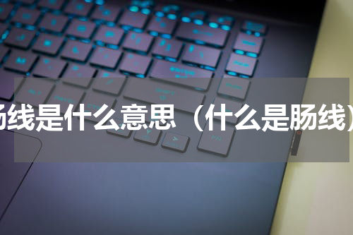 肠线是什么意思（什么是肠线）