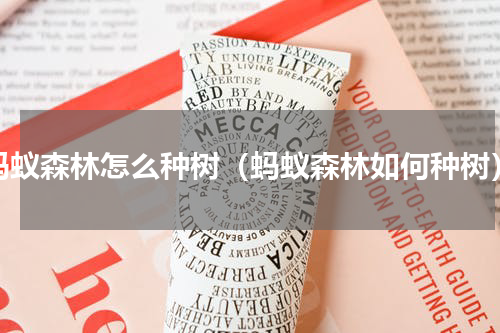 蚂蚁森林怎么种树（蚂蚁森林如何种树）