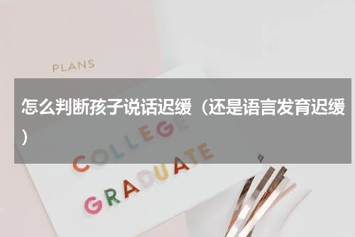 怎么判断孩子说话迟缓（还是语言发育迟缓）