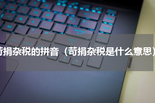 苛捐杂税的拼音（苛捐杂税是什么意思）