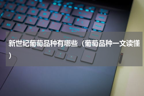 新世纪葡萄品种有哪些（葡萄品种一文读懂）