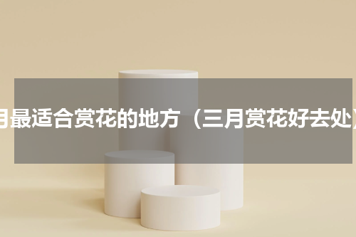 3月最适合赏花的地方（三月赏花好去处）