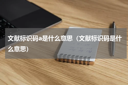 文献标识码a是什么意思（文献标识码是什么意思）