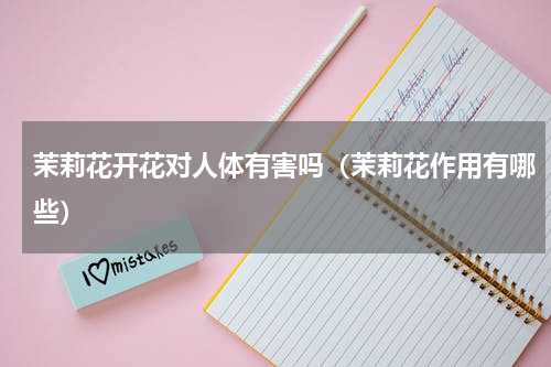 茉莉花开花对人体有害吗（茉莉花作用有哪些）