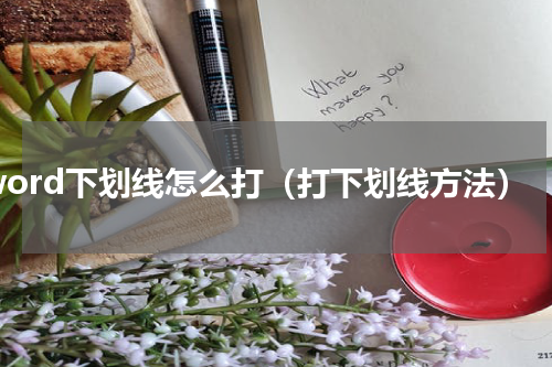 word下划线怎么打（打下划线方法）