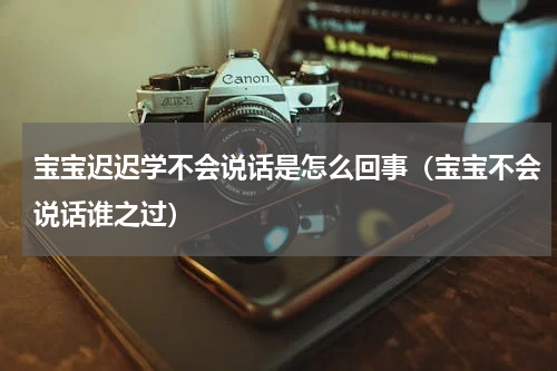 宝宝迟迟学不会说话是怎么回事（宝宝不会说话谁之过）