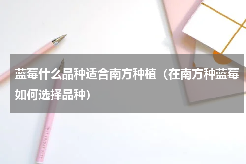 蓝莓什么品种适合南方种植（在南方种蓝莓如何选择品种）