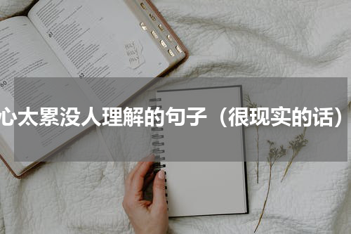 心太累没人理解的句子（很现实的话）