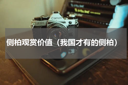 侧柏观赏价值（我国才有的侧柏）