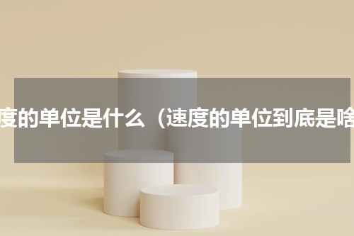 速度的单位是什么（速度的单位到底是啥）