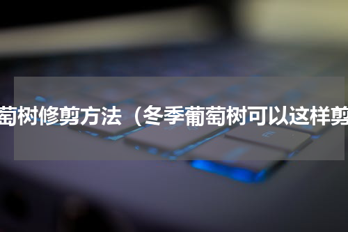 葡萄树修剪方法（冬季葡萄树可以这样剪）