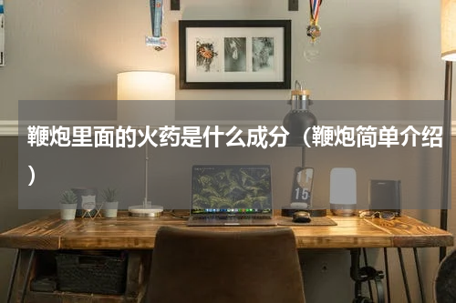 鞭炮里面的火药是什么成分（鞭炮简单介绍）