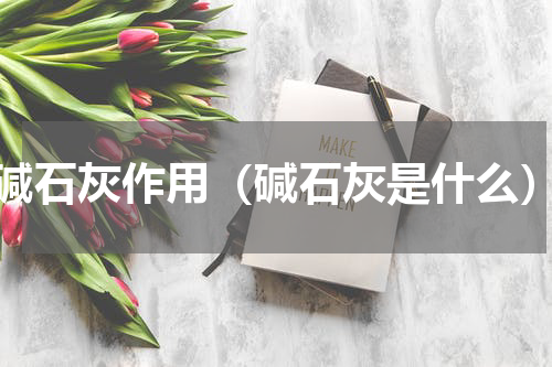 碱石灰作用（碱石灰是什么）