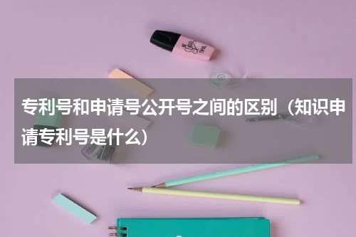 专利号和申请号公开号之间的区别（知识申请专利号是什么）