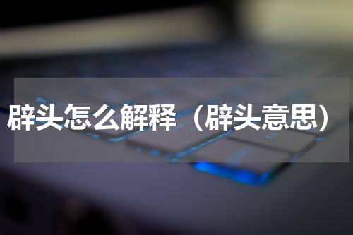 辟头怎么解释（辟头意思）