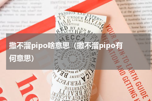 撒不溜pipo啥意思（撒不溜pipo有何意思）