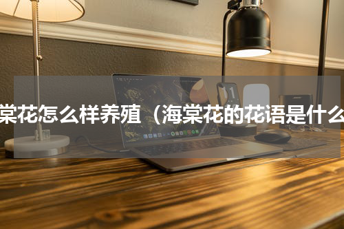 海棠花怎么样养殖（海棠花的花语是什么）