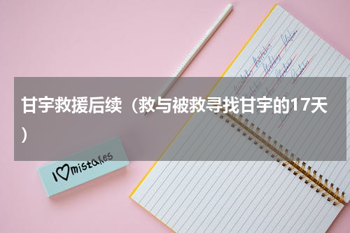 甘宇救援后续（救与被救寻找甘宇的17天）