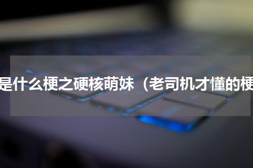 这是什么梗之硬核萌妹（老司机才懂的梗）