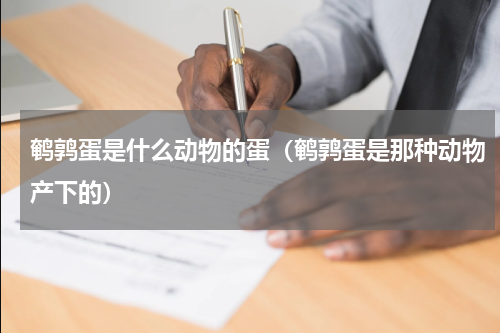 鹌鹑蛋是什么动物的蛋（鹌鹑蛋是那种动物产下的）