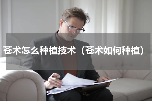 苍术怎么种植技术（苍术如何种植）