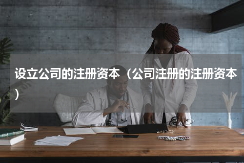 设立公司的注册资本（公司注册的注册资本）