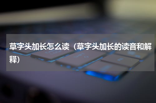 草字头加长怎么读（草字头加长的读音和解释）