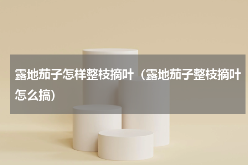 露地茄子怎样整枝摘叶（露地茄子整枝摘叶怎么搞）