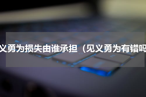 见义勇为损失由谁承担（见义勇为有错吗）