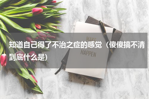 知道自己得了不治之症的感觉（傻傻搞不清到底什么是）