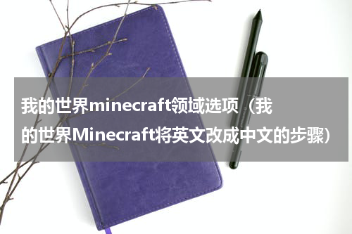 我的世界minecraft领域选项（我的世界Minecraft将英文改成中文的步骤）
