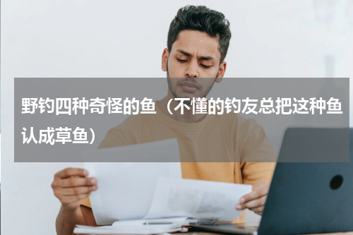 野钓四种奇怪的鱼（不懂的钓友总把这种鱼认成草鱼）