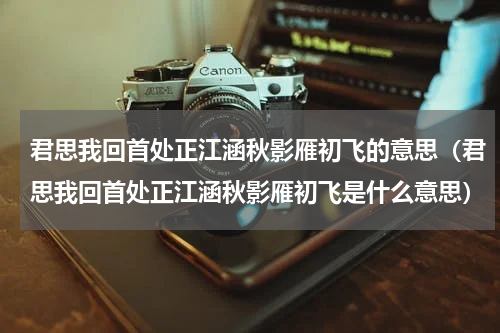 君思我回首处正江涵秋影雁初飞的意思（君思我回首处正江涵秋影雁初飞是什么意思）