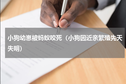 小狗幼崽被蚂蚁咬死（小狗因近亲繁殖先天失明）