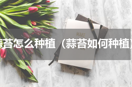 蒜苔怎么种植（蒜苔如何种植）