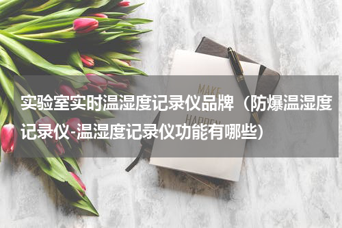 实验室实时温湿度记录仪品牌（防爆温湿度记录仪-温湿度记录仪功能有哪些）