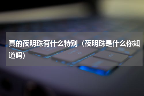 真的夜明珠有什么特别（夜明珠是什么你知道吗）