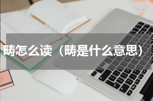 畴怎么读（畴是什么意思）