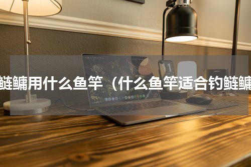 钓鲢鳙用什么鱼竿（什么鱼竿适合钓鲢鳙）