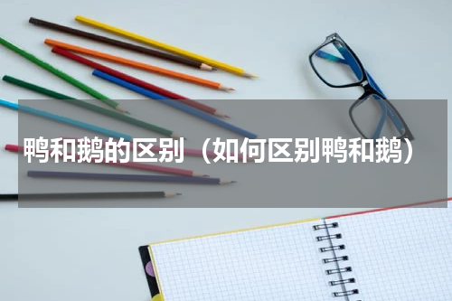 鸭和鹅的区别（如何区别鸭和鹅）