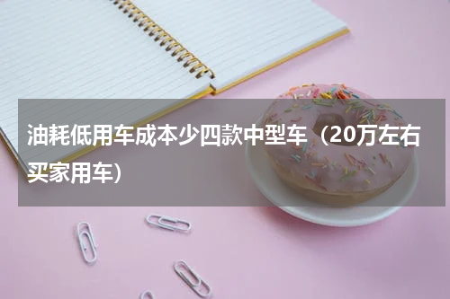 油耗低用车成本少四款中型车（20万左右买家用车）