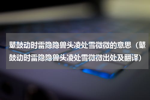 鼙鼓动时雷隐隐兽头凌处雪微微的意思（鼙鼓动时雷隐隐兽头凌处雪微微出处及翻译）