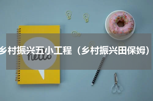 乡村振兴五小工程（乡村振兴田保姆）