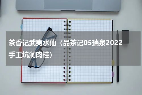 茶香记武夷水仙（品茶记05瑞泉2022手工坑涧肉桂）