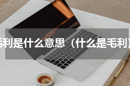 毛利是什么意思（什么是毛利）