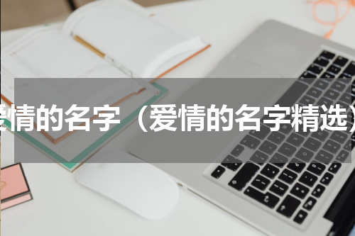 爱情的名字（爱情的名字精选）