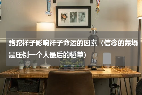 骆驼祥子影响祥子命运的因素（信念的轰塌是压倒一个人最后的稻草）